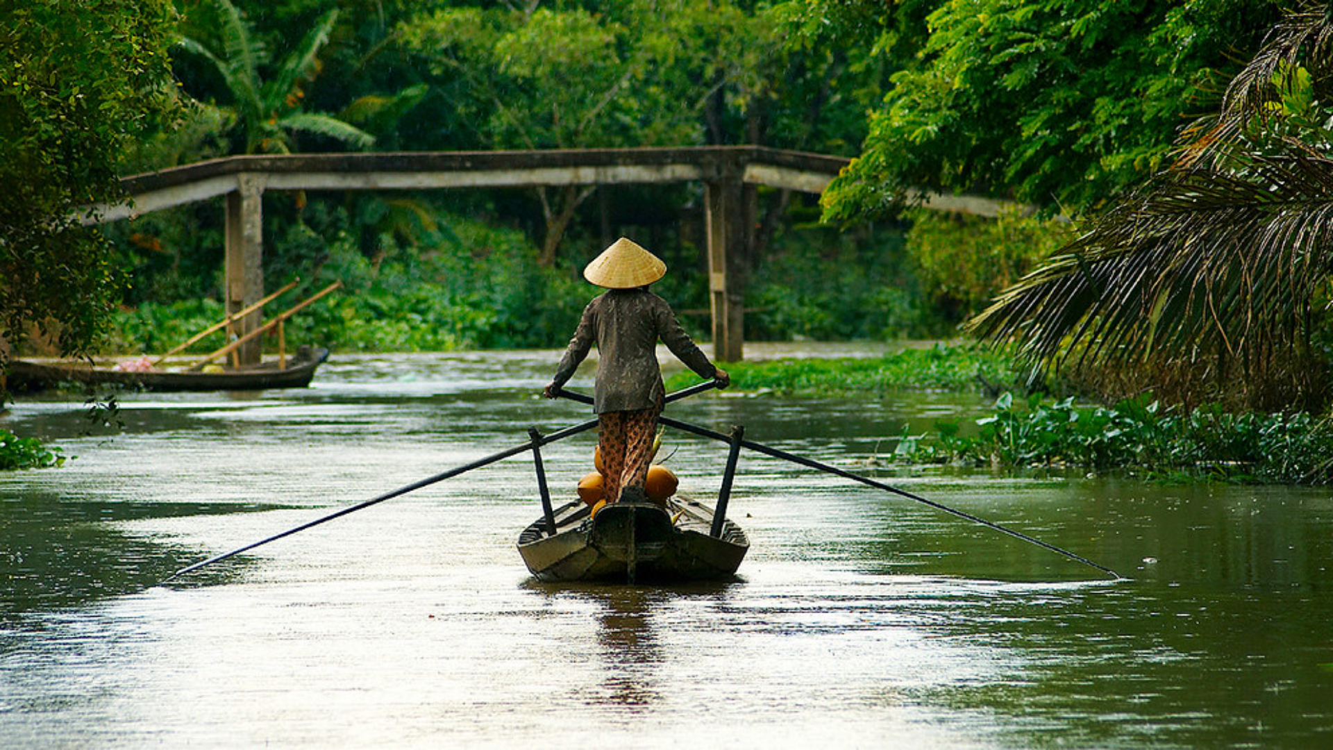 Mekong Delta1